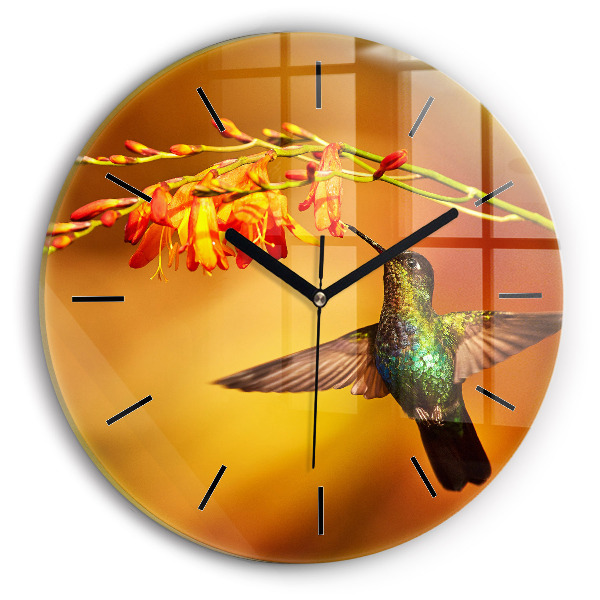 Round glass wall clock Hummingbird bird