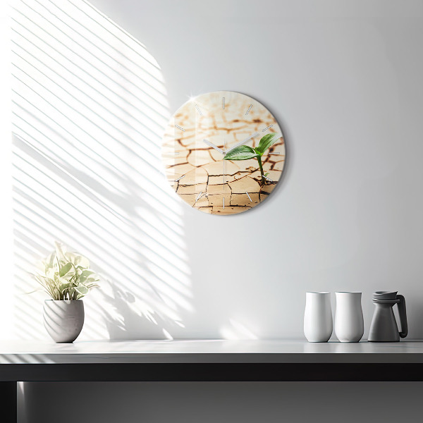 Round glass wall clock Plant in dry soil