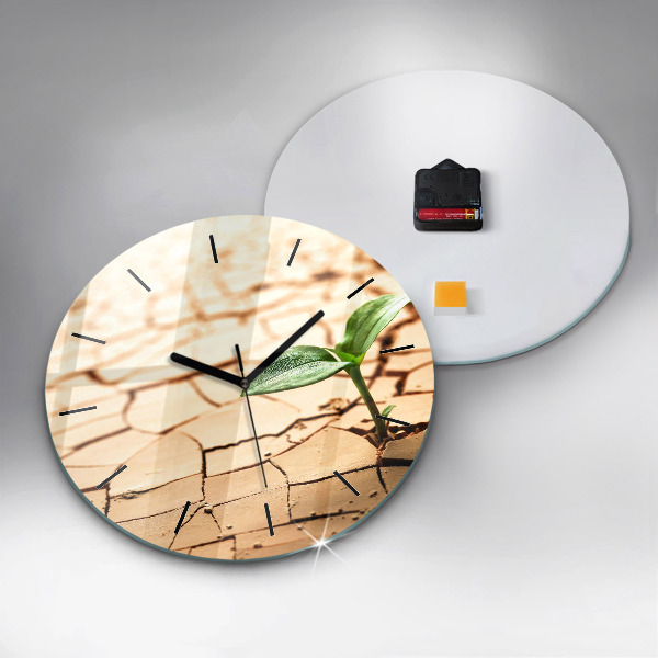 Round glass wall clock Plant in dry soil