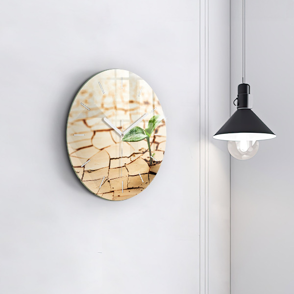 Round glass wall clock Plant in dry soil