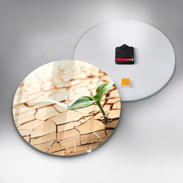 Round glass wall clock Plant in dry soil