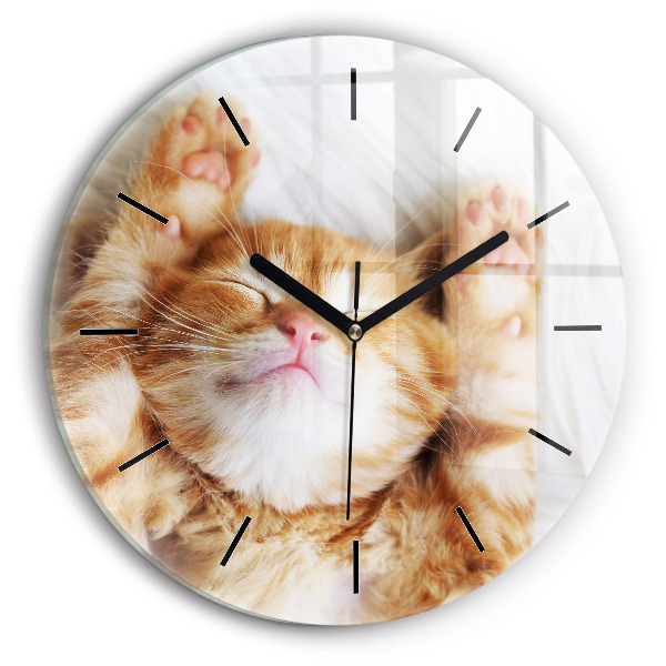 Round glass wall clock Sleeping little kitten