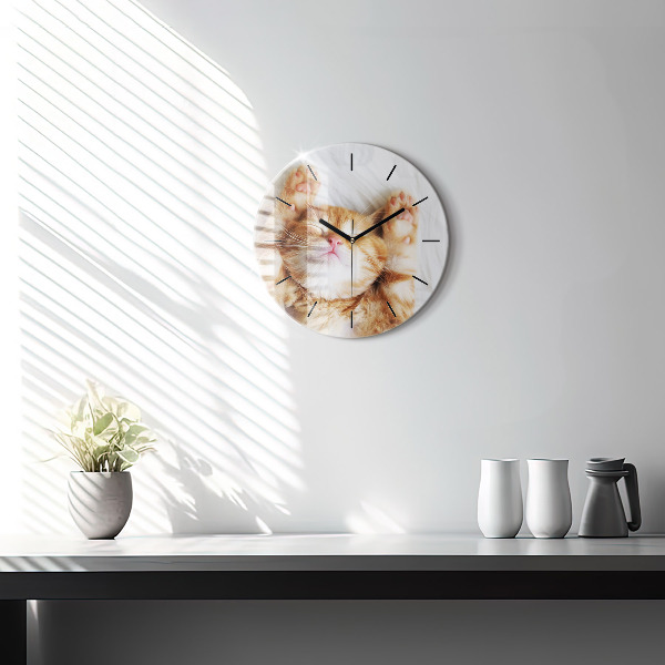 Round glass wall clock Sleeping little kitten