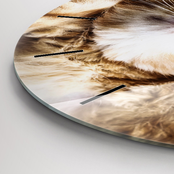 Round glass wall clock Sleeping little kitten