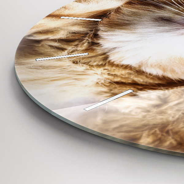 Round glass wall clock Sleeping little kitten