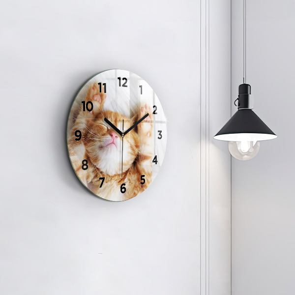 Round glass wall clock Sleeping little kitten