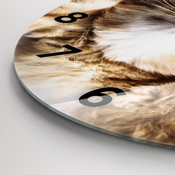 Round glass wall clock Sleeping little kitten