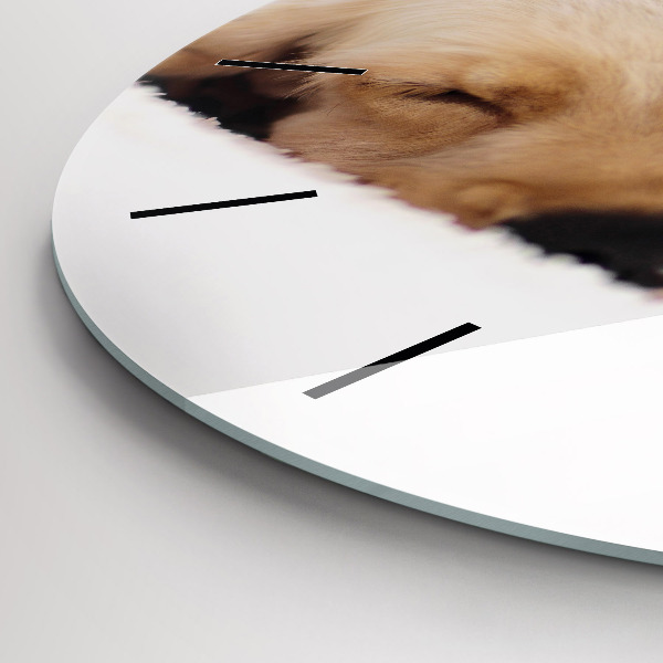 Round glass wall clock Sleeping cat and dog
