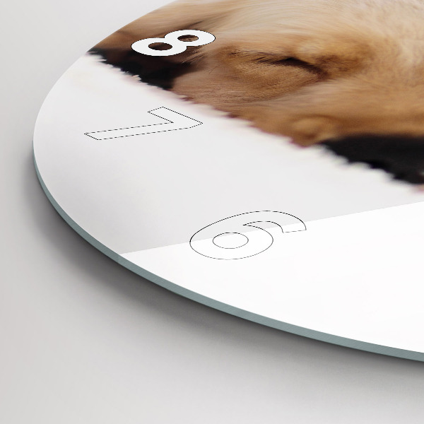 Round glass wall clock Sleeping cat and dog