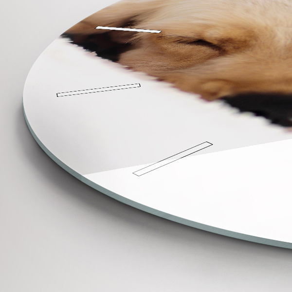 Round glass wall clock Sleeping cat and dog