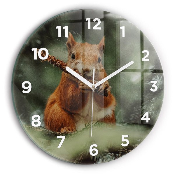Round glass wall clock Squirrel and wild nature