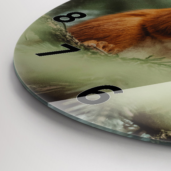 Round glass wall clock Squirrel and wild nature