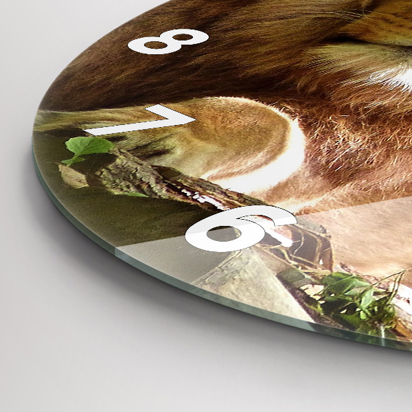 Round glass wall clock Portrait of a Lion