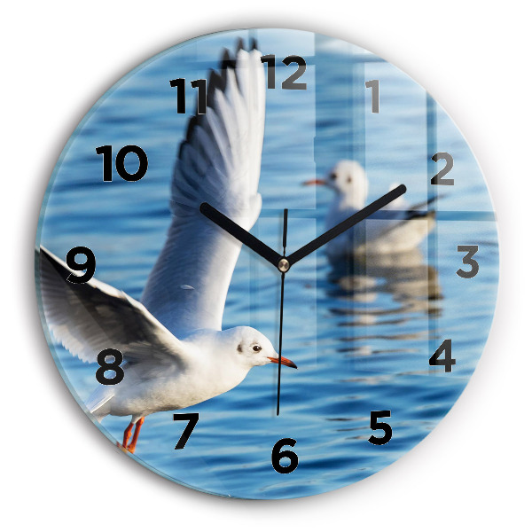 Round glass wall clock Seagulls in Gdynia