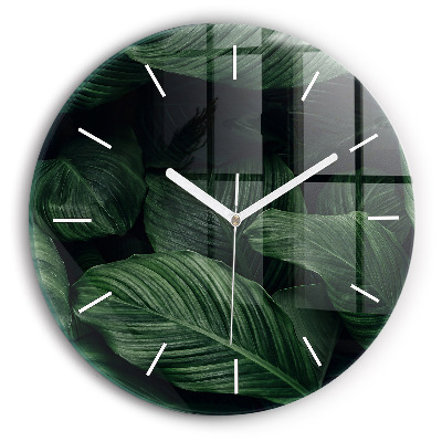 Round glass wall clock Tropical Monstera