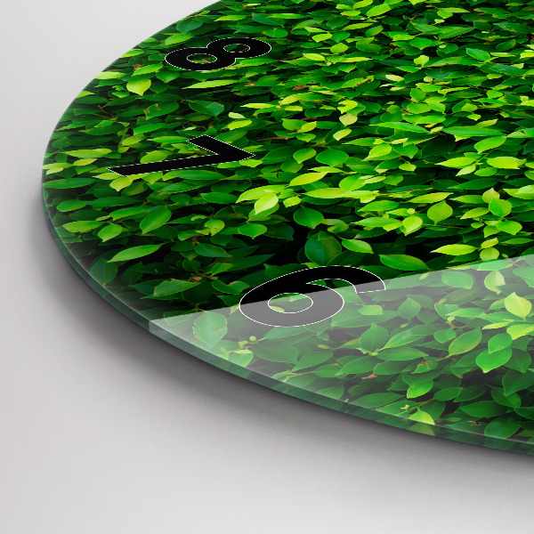 Round glass wall clock Hedge leaves