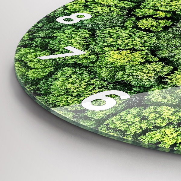 Round glass wall clock Forest from above