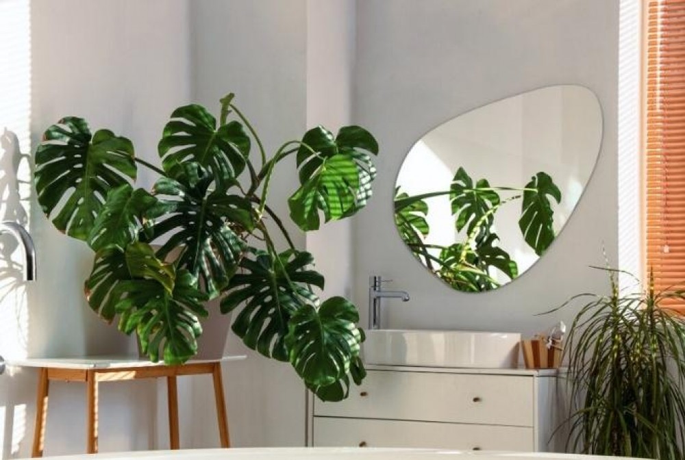 mirror for a white bathroom